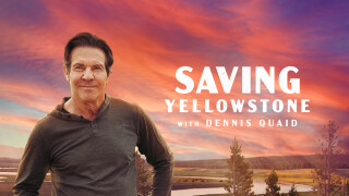 Saving Yellowstone, with Dennis Quaid