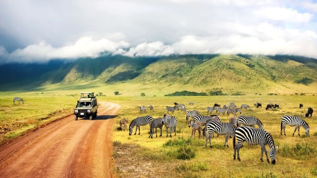 Karina: Most Intriguing Safari Destinations