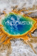 Yellowstone