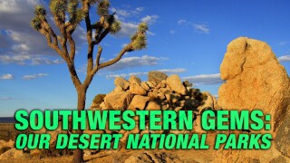 Southwestern Gems: Our Desert National Parks