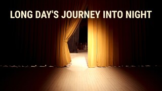 Long Day's Journey Into Night