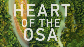 Heart of the Osa