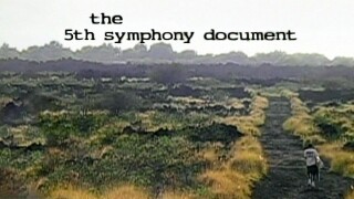 The 5th Symphony Document