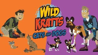 Wild Kratts: Cats and Dogs