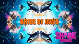 Bride of Jaws