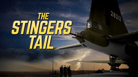 The Stinger's Tail