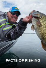 Facts of Fishing