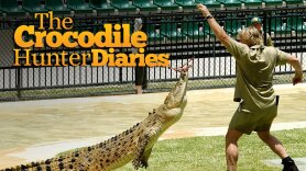 The Crocodile Hunter Diaries