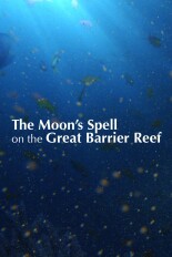 The Moon's Spell on the Great Barrier Reef