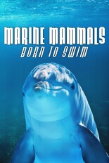 Marine Mammals Born to Swim