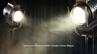 Saving the Florida Wildlife Corridor Home Waters