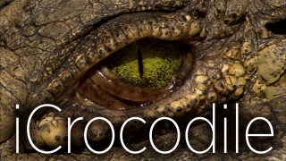 iCrocodile