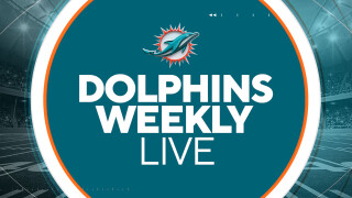 Dolphins Weekly