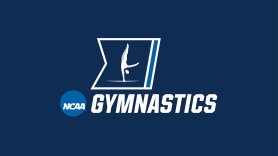 Men's College Gymnastics