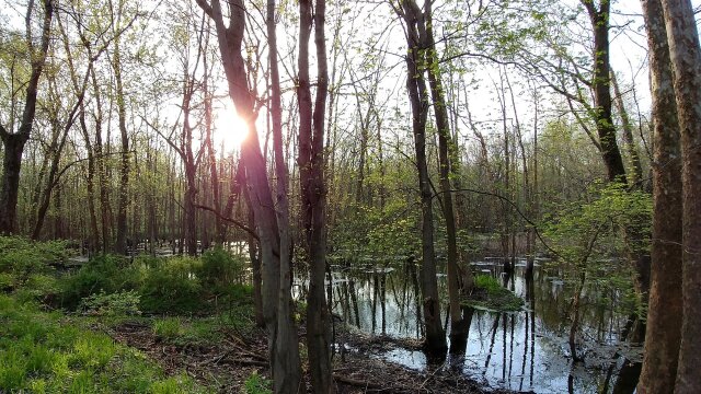 Everglades of the North: The Story of the Grand Kankakee Marsh