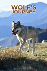 Wolf's Journey