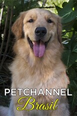 Petchannel Brasil