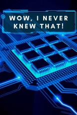 Wow, I Never Knew That!