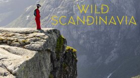 Wild Scandinavia