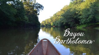 Bayou Bartholomew