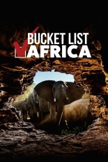 Bucket List Africa
