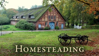 Homesteading