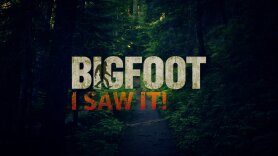 Bigfoot: I Saw It!