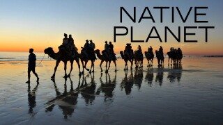 Native Planet