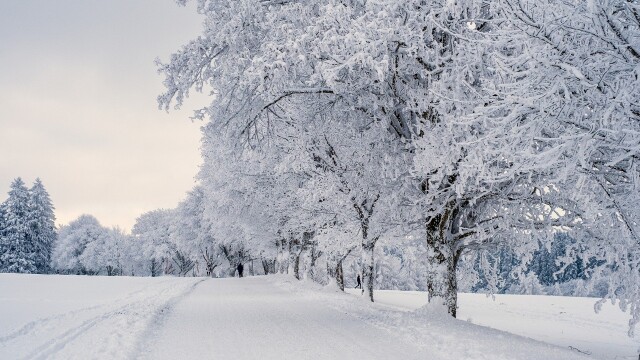 Nature of four season, Winter