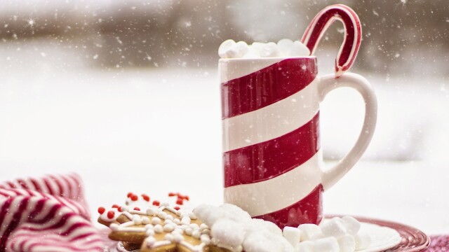 Holiday Party Spectacular