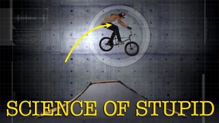 Science of Stupid