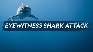 Eyewitness Shark Attack