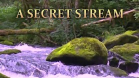 A Secret Stream