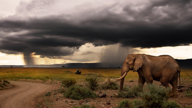 Chasing the Rains