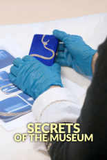 Secrets of the Museum