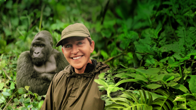 Saving the Gorillas: Ellen's Next Adventure