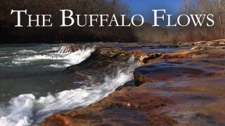 The Buffalo Flows