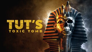 Tut's Toxic Tomb