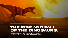 The Rise and Fall of the Dinosaurs: Four Surprising New Discoveries