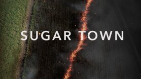 Sugar Town