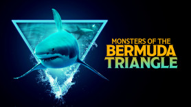 Monsters of the Bermuda Triangle