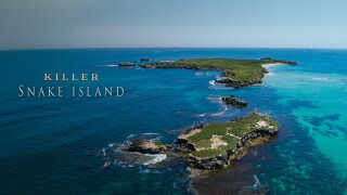 Killer Snake Island