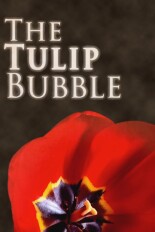 The Tulip Bubble