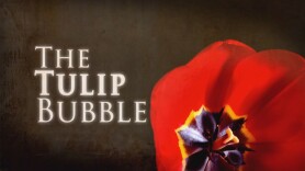 The Tulip Bubble