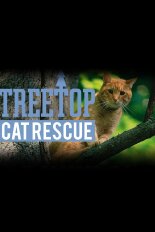 Treetop Cat Rescue