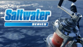 Saltwater Series