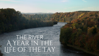 The Secret Life of the River Tay