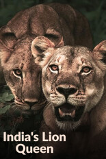 India's Lion Queen