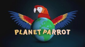 Planet Parrot