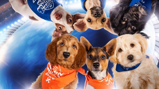 Puppy Bowl XVIII Presents: Inside the Bowl